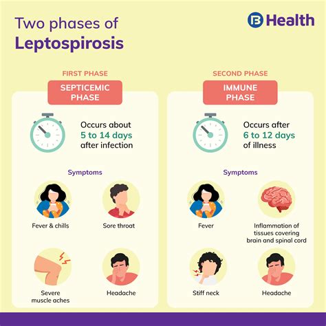 mild leptospirosis diagnosis